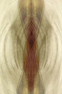 Aardse, vloeiende symmetrie door Christina Sillen