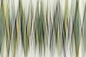 Aardse geometrische lijnen door Christina Sillen