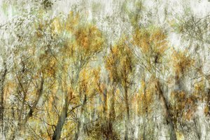  door Christina Sillen