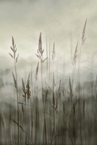 door Christina Sillen