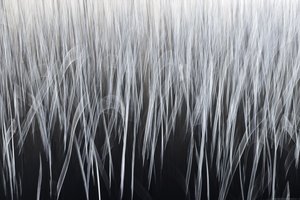 Etherische verticale lijnen door Christina Sillen