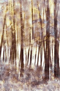 Etherisch winterbos door Christina Sillen