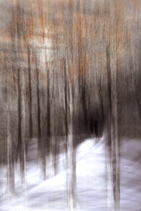 Etherisch winterbos door Christina Sillen