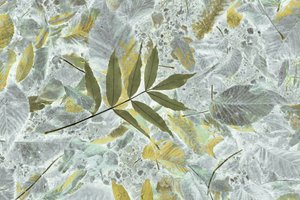 Verbleekte herfstbladeren door Christina Sillen