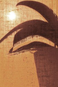 Gouden ochtendsilhouet door Christina Sillen