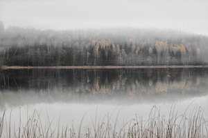 Mistig herfstmeer door Christina Sillen