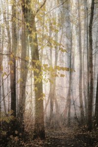 Mistig herfstpad door Christina Sillen