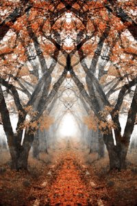 Mistig herfstpad door Christina Sillen