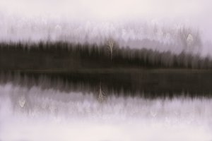 Misty Birch Reflectie door Christina Sillen