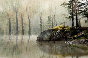 Misty Forest Lake