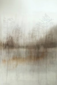 Weerspiegelingen in het mistige bos