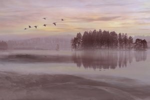 Vogelvlucht boven het mistige meer door Christina Sillen