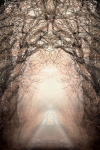  door Christina Sillen