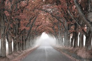  door Christina Sillen