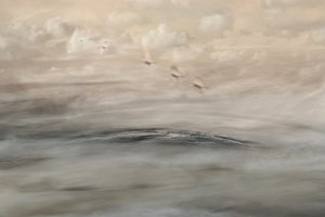 Silver Haze door Christina Sillen