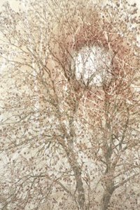  door Christina Sillen
