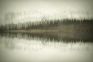  door Christina Sillen