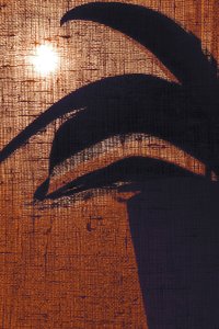 Warm plantensilhouet door Christina Sillen
