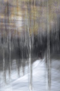 door Christina Sillen