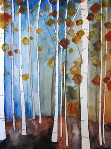 Herfstberken, blauwe lucht