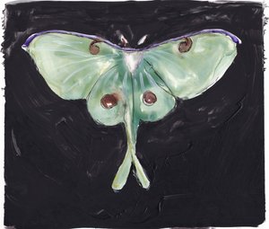 Groene maanvlinder door Christine Lindstrom