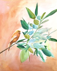 Orange Bird-filiaal