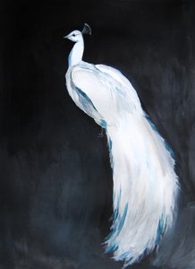 De majesteit van de witte pauw door Christine Lindstrom