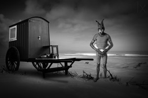 De eenzame strandganger