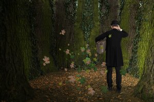 De reis van de man door het bos door Christine von Diepenbroek