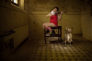 Eigenzinnige kamerserenade door Christine von Diepenbroek