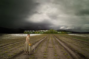 De eenzame tuinier Stormy Field door Christine von Diepenbroek