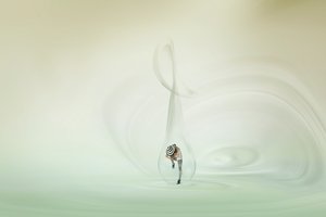 De speelse Bubble Dancer