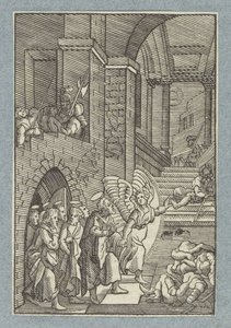 Petrus en de andere apostelen worden door een engel bevrijd uit de gevangenis
