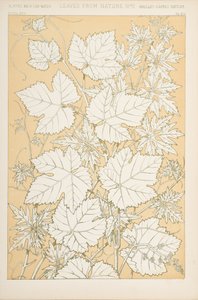 Bladeren uit de natuur, 1868