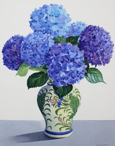Blauwe Hortensia