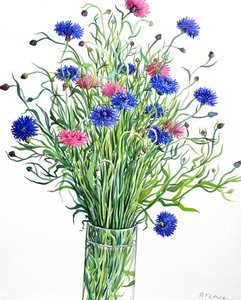 Korenbloemen