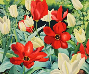 Vroege tulpen