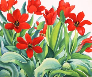 Madame Lefeber Tulpen door Christopher Ryland
