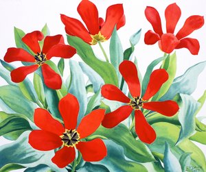Madame Lefeber Tulpen 2 door Christopher Ryland