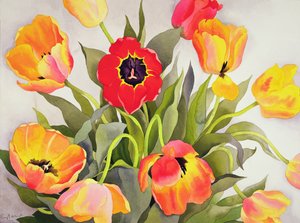 Oranje en Rode Tulpen