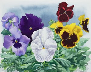 Viooltjes door Christopher Ryland