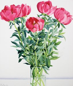Pioenen