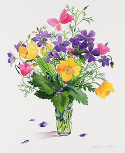Klaprozen en geraniums
