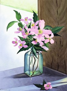 Stilleven met roze clematis door Christopher Ryland