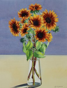 Zonnebloemen