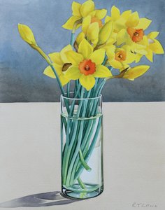 Supermarkt Narcissen, 2022 door Christopher Ryland