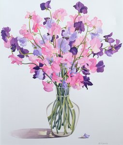 Lathyrus