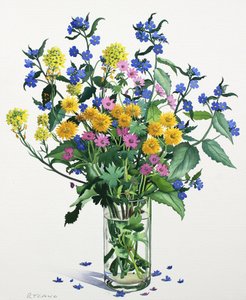 Wilde Bloemen met Alkanet