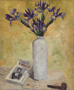 Iris in een Hoge Vaas