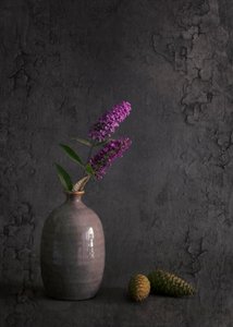  door Cicek Kiral
